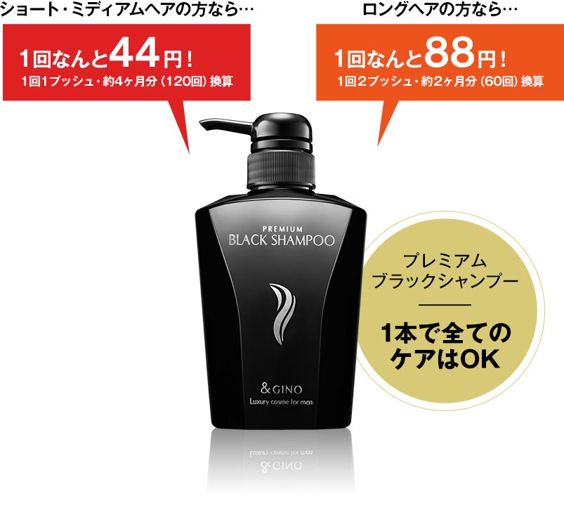 ショート・ミディアムヘアの方なら…1回なんと43.2円！1回1プッシュ・約4ヶ月分（120回）換算 ロングヘアの方なら…1回なんと86.4円！1回2プッシュ・約2ヶ月分（60回）換算 プレミアムブラックシャンプー 1本で全てのケアはOK