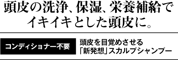 頭皮の洗浄、保湿、栄養補給でイキイキとした頭皮に。コンディショナー不要 頭皮を目覚めさせる「新発想のスカルプシャンプー」