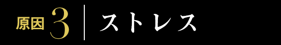 原因3：ストレス