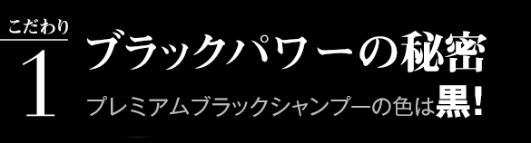 こだわり１：ブラックパワーの秘密 プレミアムブラックシャンプーの色は黒！