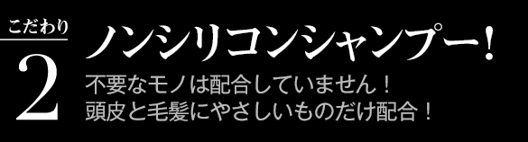 こだわり2：ノンシリコンシャンプー！不要なモノは配合していません！頭皮と毛髪にやさしいものだけ配合！