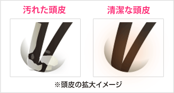 ̊gC[W