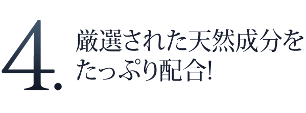 4.IꂽVRՂz!