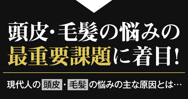 頭皮・毛髪の悩みの最重要課題に着目!|現代人の頭皮・毛髪の悩みの主な原因とは・・・