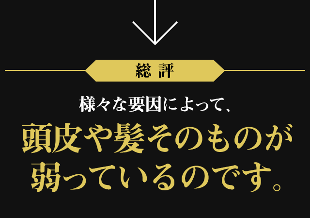 総評:様々な要因によって、頭皮や髪そのものが弱っているのです。
