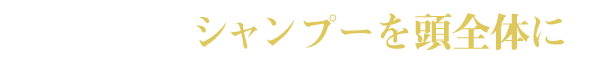 STEP2 シャンプーを頭全体に