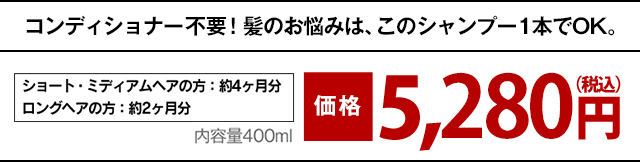 コンディショナー不要！髪のお悩みは、このシャンプー1本でOK。約2ヶ月分 400ml　通常価格 6,480円（税込）→特別価格 5,184円（税込）